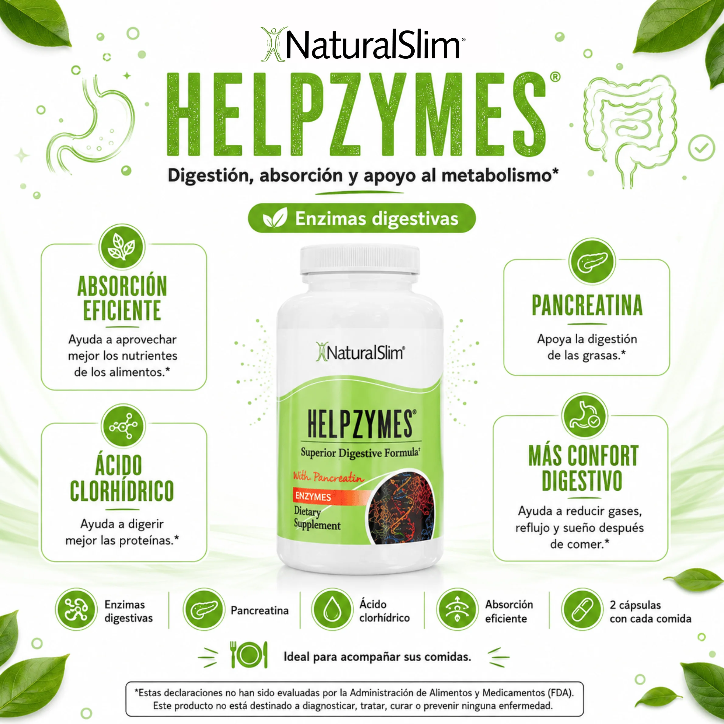 Helpzymes® | Enzimas Digestivas - Image 3