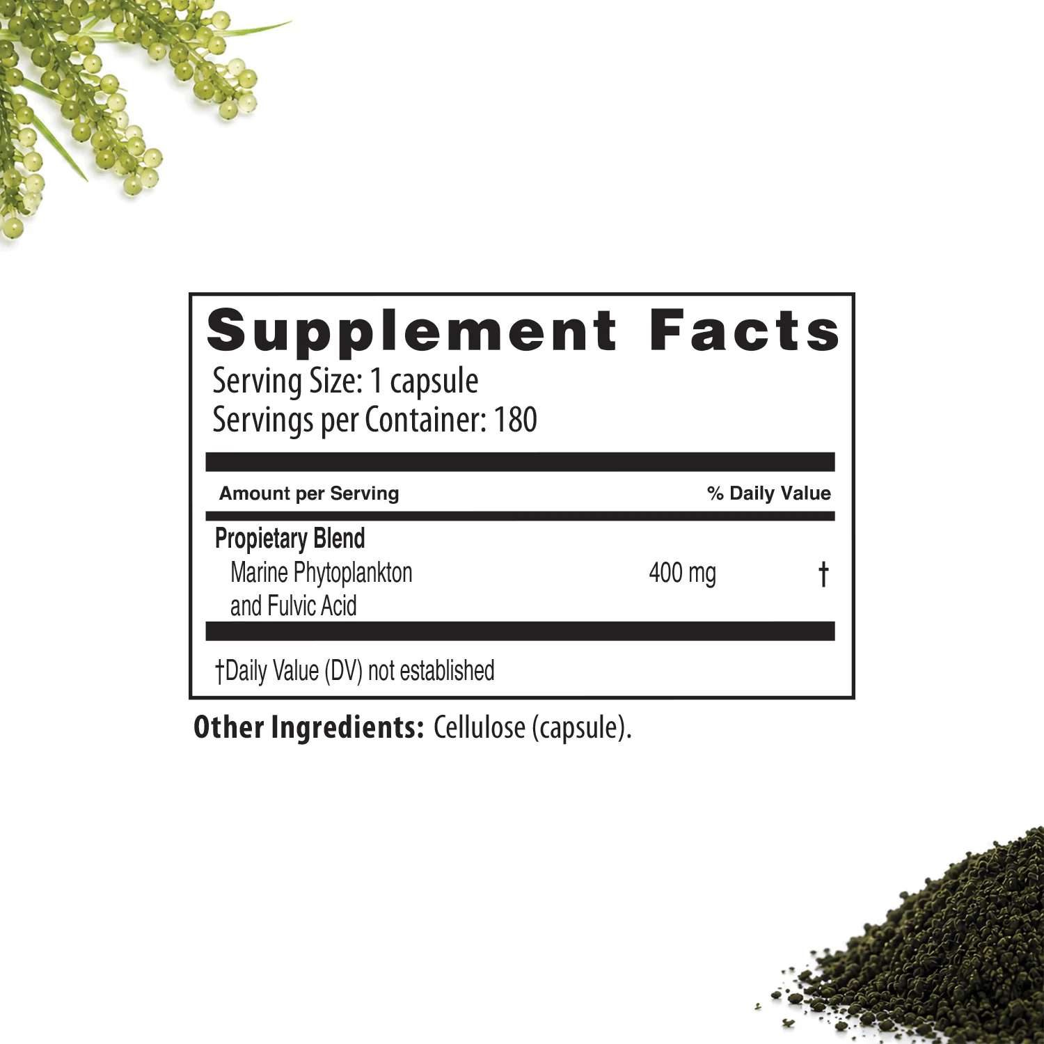 SomaRenew® | Apoyo al Metabolismo - Image 4